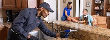 Best Commercial Pest Control  in Remerton, GA